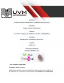 Actividad 7. Bolsa de trabajo y perfil profesional