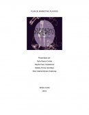 Plan de marketing Playros