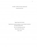 Características organizacionales de la Clínica Porvenir LTDA