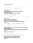 Matriz básica de proyecto de vida