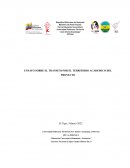 Proyecto Socio-Integrador (PSI)