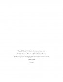 Protocolos de intervención en crisis