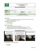 Uso de agroquímicos