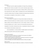 Como afectan los narco criminales en el sector economico de Guayaquil