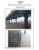 Caso de las columnas metálicas del muelle de Conchán