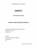 Programa administración de empresas noche