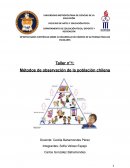 Taller n°1: Métodos de observación de la población chilena