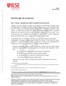 Gestión ágil de proyectos. Una «nueva» perspectiva sobre la gestión de proyectos