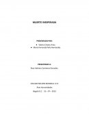 ¿Qué es la crónica?