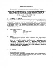 Mejoramiento de capacidades productivas para la implementación mediante innovaciones tecnologicas de una planta de derivados lácteos. Página 1