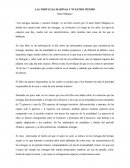 Las tortugas marinas y nuestro tiempo