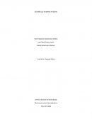 Desarrollo humano integral