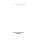 El Fantasma de la inflación