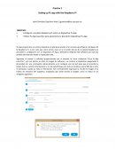 Setting up PL-app with the Raspberry Pi
