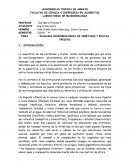 Análisis microbiológico de vegetales y frutas frescas