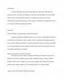 Uso de las pieles de animales