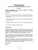 Práctica: Plantas promisorias de las zonas verdes del campus universitario (continuación)