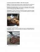 Cooperativa Agroindustrial ASPROC – NBT LTDA (Chocolate)