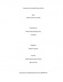 Análisis vertical y horizontal Mi fruta S.A