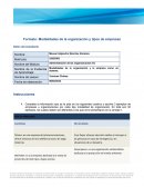 Modalidades de la organización y la empresa como un sistema