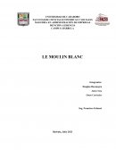 Analisis del Caso Le Moulin Blanc