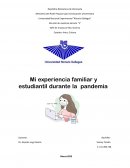 Mi experiencia familiar y estudiantil durante la pandemia