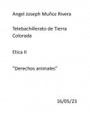 Derechos animales