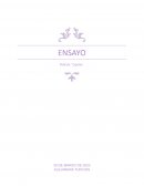 Película ¨Cipotes¨