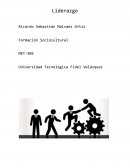 Liderazgo y sus características