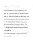 La importancia del diencéfalo en los mecanismos vegetativos