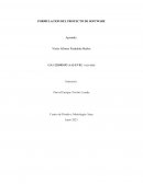 Formulación del proyecto de software