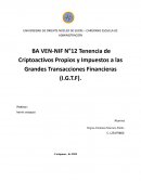 BA VEN-NIF N°12 Tenencia de Criptoactivos Propios y Impuestos a las Grandes Transacciones Financieras (I.G.T.F)