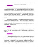 Modelos de intervención psicológica