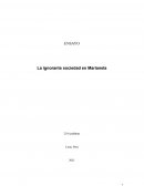 La ignorante sociedad en Marianela