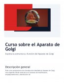 Curso sobre el Aparato de Golgi