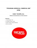 Caso: Tucapel S.A. Sistema de remuneraciones en el Área Comercial