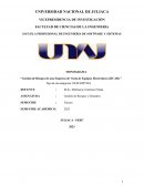 Gestión de Riesgos de una Empresa de Venta de Equipos Electrónicos (JICAR)