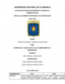 Diferencias y similitud del plan gubernamental y empresarial