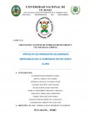 Proyecto de propuestas de energias renovables en la comunidad nativa Santa Clara