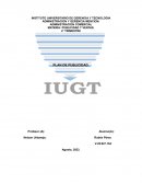 Plan de Marketing Producto: Jabón de Tocador