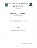 Informe: sistemas de pilotaje: in situ y prefabricados