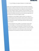 Activos Biológicos de empresas Dedicadas a la Actividad Agrícola