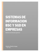 Informe BSC Y SDG