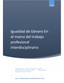Igualdad de Género en el marco de trabajo profesional