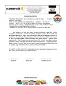 Animales en peligro de extinción