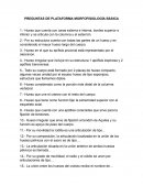 Preguntas de Plataforma Morfofisiología Básica
