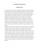 Metabolismo microbiano