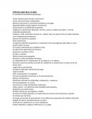 Criterios salas de 4 y 5 años. En contexto de enseñanza aprendizaje