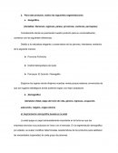 Marketing, producto para su comercialización