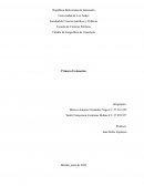 Pregunta N°3. Apreciación Geopolítica sobre Grupos Armados Irregulares en la Frontera entre Venezuela y Colombia